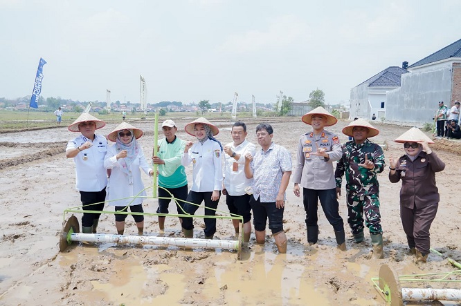 Wagub Lampung Dorong Modernisasi Pertanian, 35.100 Hektare PM-AAS Disiapkan di 2026