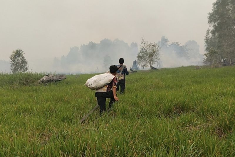 Tim Dishut Kalteng Tempuh 3 Jam Pakai Kelotok Padamkan Karhutla Tahura Isen Mulang di Pulang Pisau