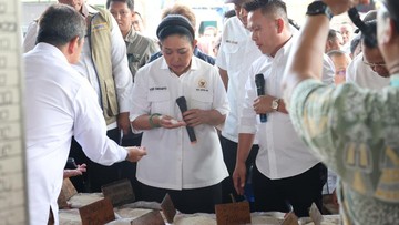 Komisi IV DPR Pastikan Stok Beras Aman, Produksi Gabah Capai 43,89 Juta Ton