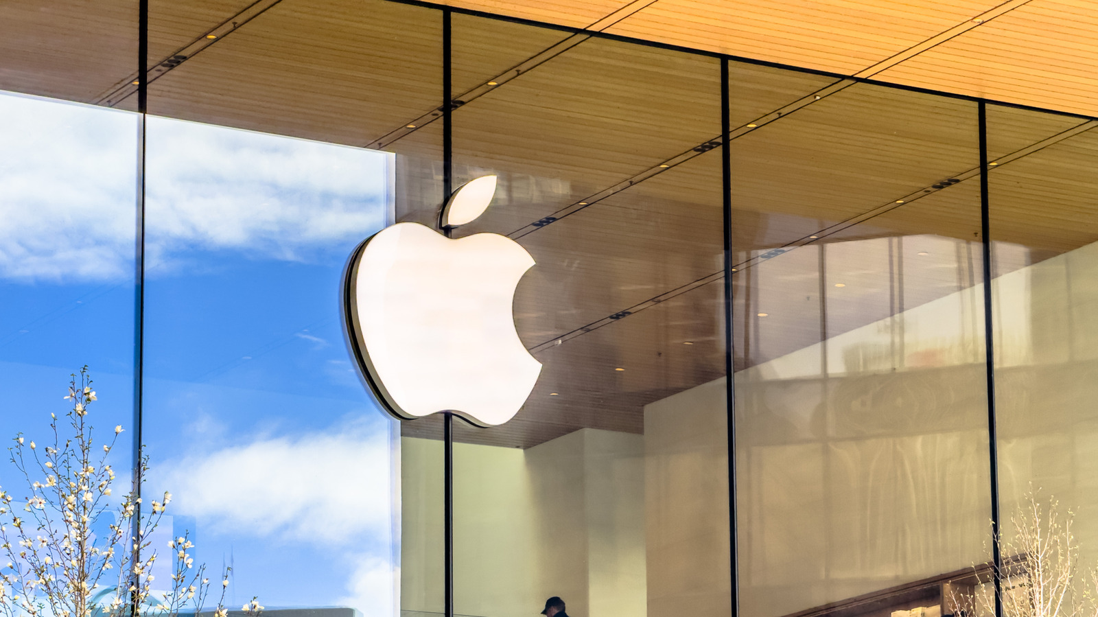 Kamera Smart Home Apple Dikabarkan Tak Rekam Video, Andalkan AI