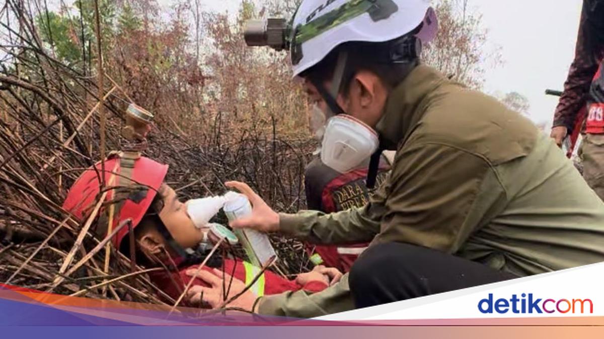 70 Hari Relawan Pray for Kalimantan Lawan Karhutla Kalbar, Evakuasi Bayi hingga Selamatkan Orang Utan di Gunung Palung