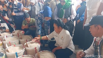 Titiek Soeharto Cek Cipinang, Bulog Pasok 507 Ton Beras Premium per Hari