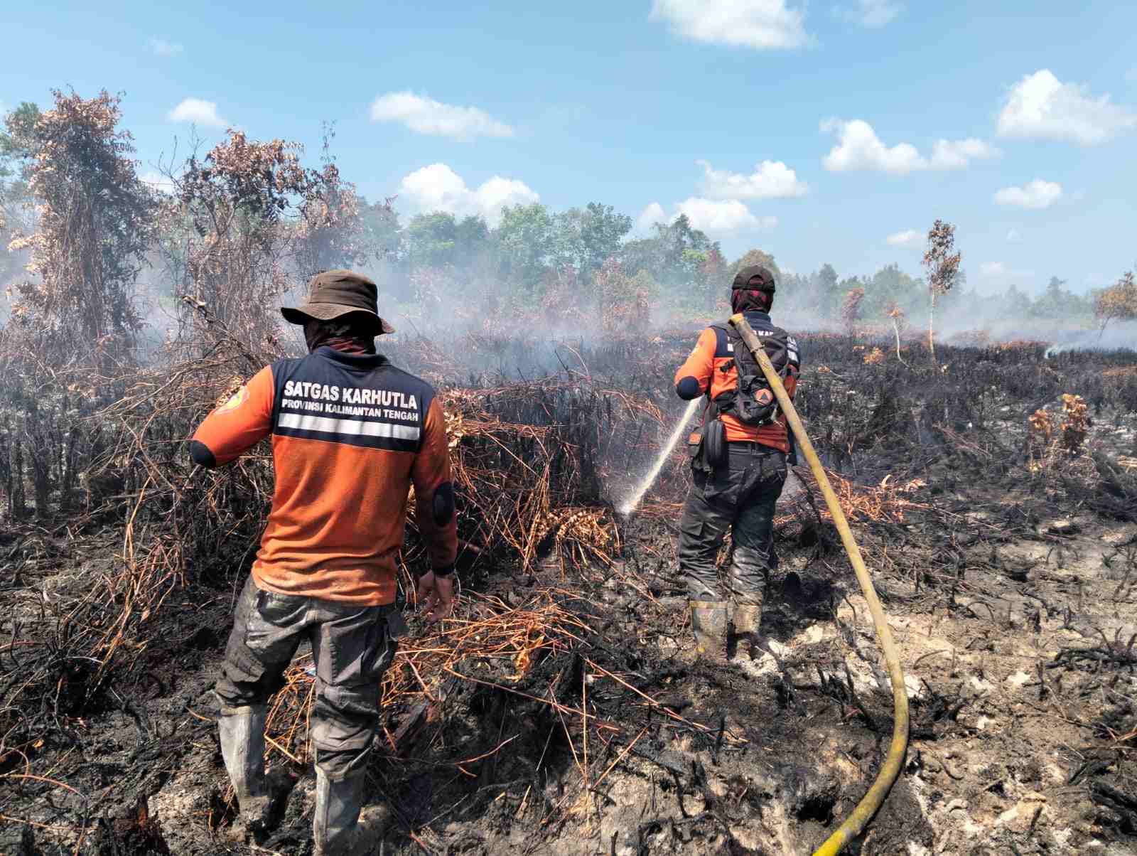 8.093 Titik Panas Terdeteksi di Kalteng, 88 Karhutla Terjadi dan 195 Hektare Lahan Terbakar