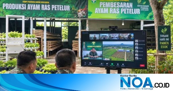 Kompi Pangan Kodim 0110 Abdya Hasilkan Telur, Lele, dan Sayur Setelah 9 Bulan Berjalan