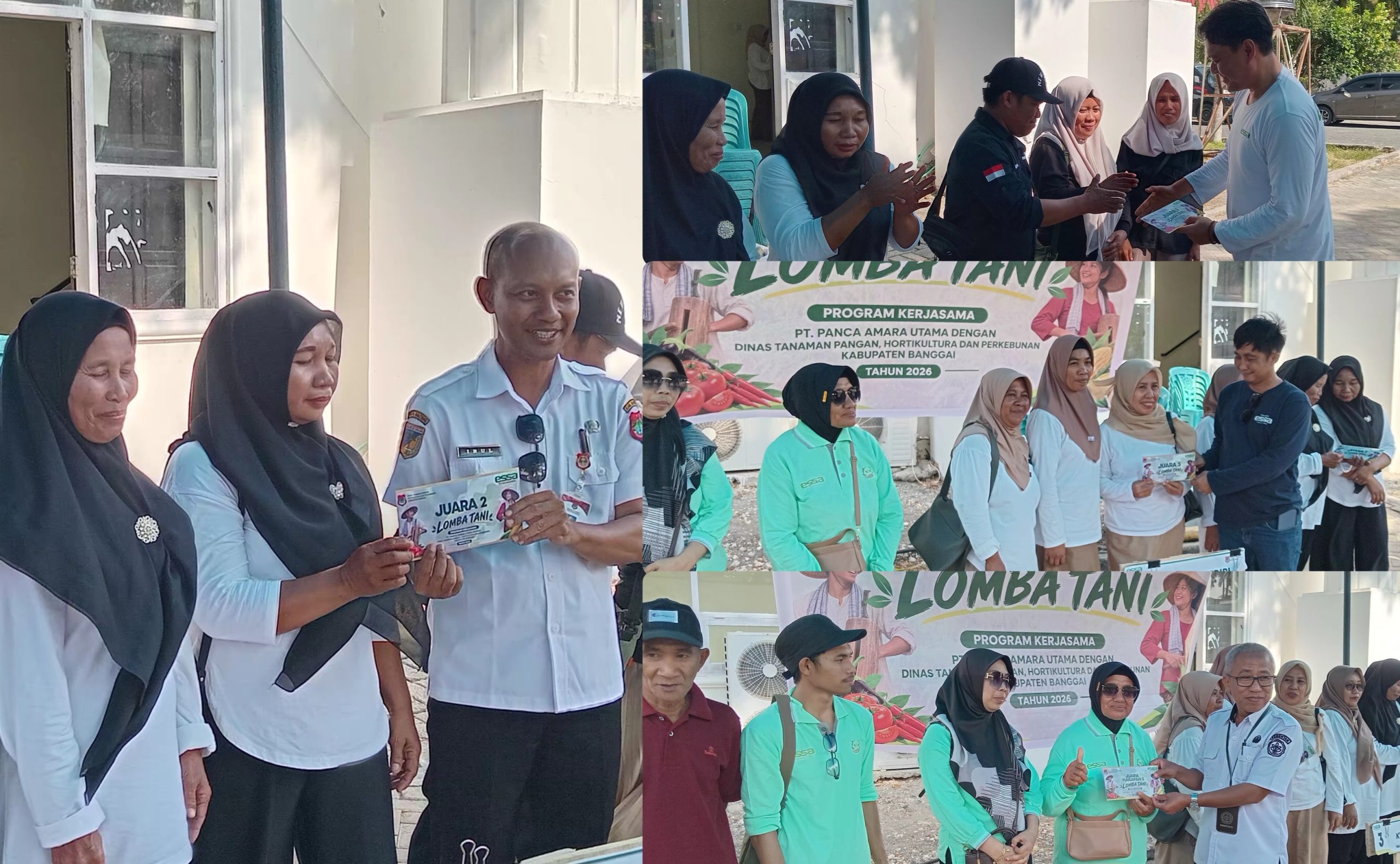 Dinas TPHP Banggai dan PT PAU Gelar Lomba Tani Lembah Longkida II, 12 Kelompok Berebut Juara