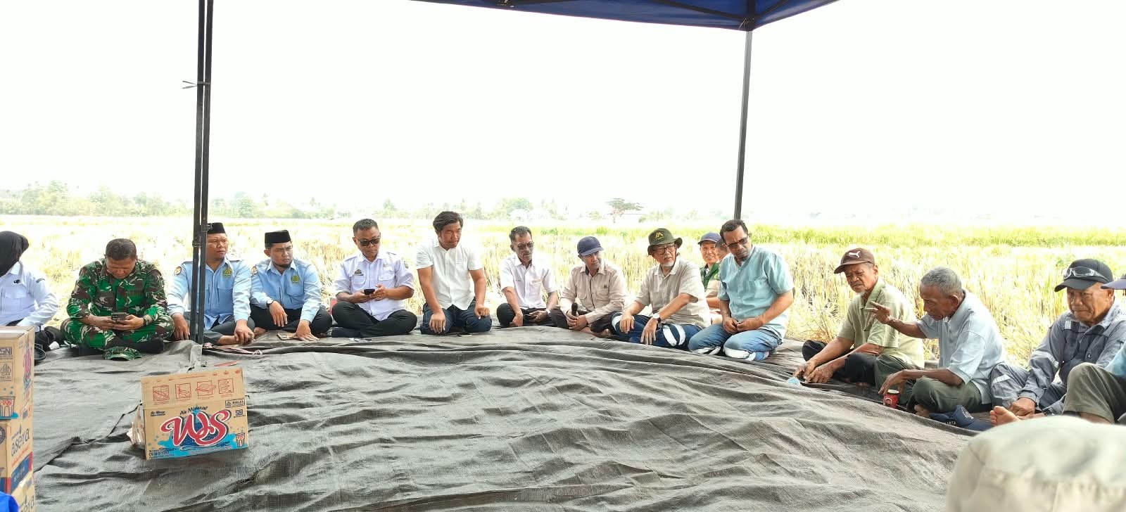 Panen Raya di Desa Balla Luwu Tembus 7,5 Ton per Hektare, Dinas Pertanian Apresiasi Kontribusi MDA