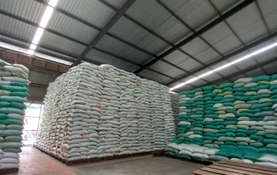 BULOG Jambi Jamin Stok Beras Medium Aman, Distribusi dari Lampung Kini Lebih Lama Jadi 4 Hari