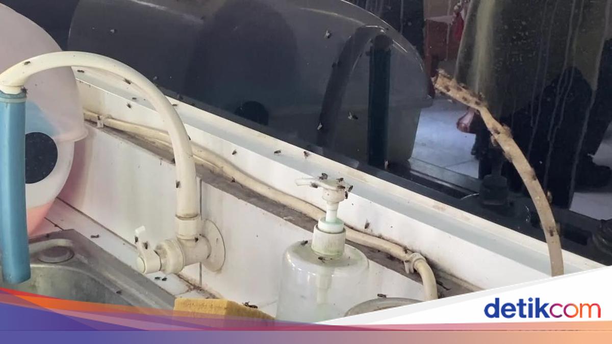 Warga Bulungcangkring Kudus Keluhkan Serbuan Lalat dari 20 Kandang Ayam, Minta Ditutup