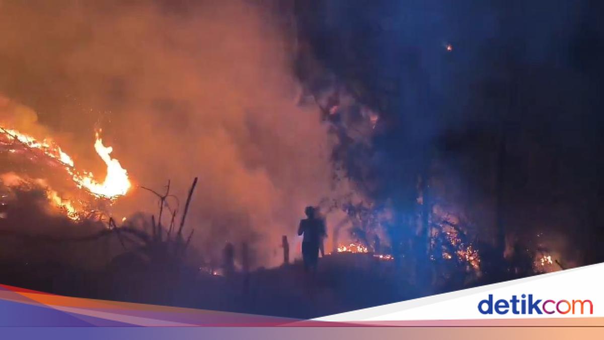 4 Warga Mamasa Terjebak Karhutla Saat Padamkan Api di Bukit, Dievakuasi Tim Gabungan