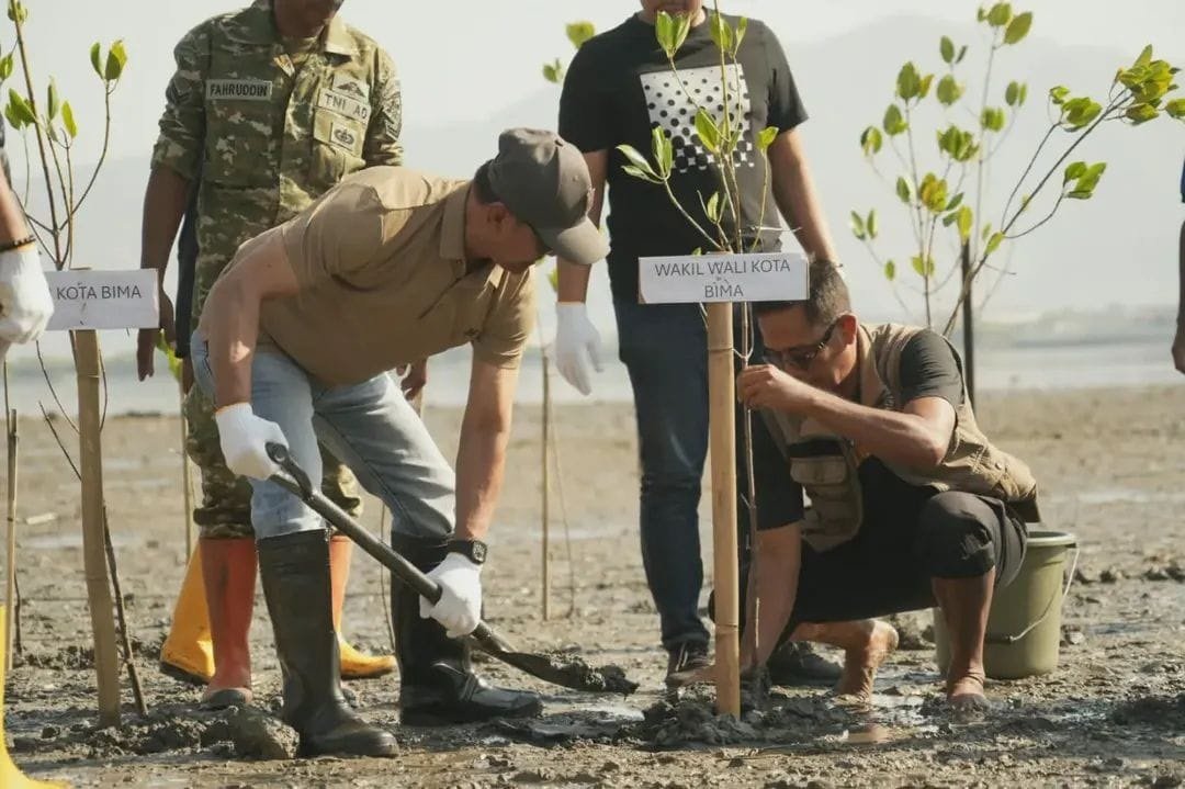 Pemkot Bima Tanam 600 Mangrove di Pantai Lawata dan Niu, Libatkan Program NUFReP