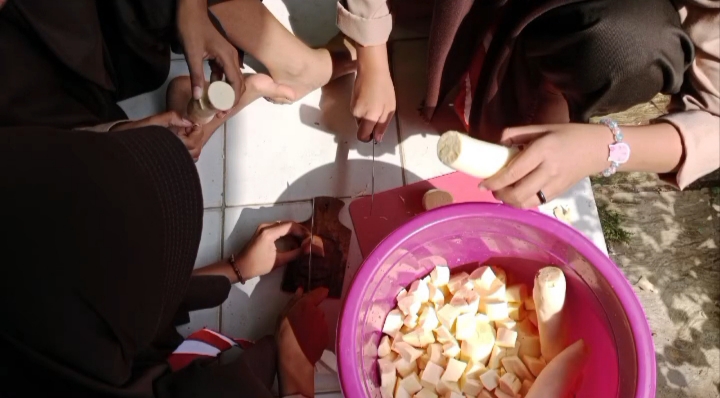 Minim Guru, SMPN 3 Pagedongan Banjarnegara Ubah Kebun Singkong Jadi Laboratorium Hidup