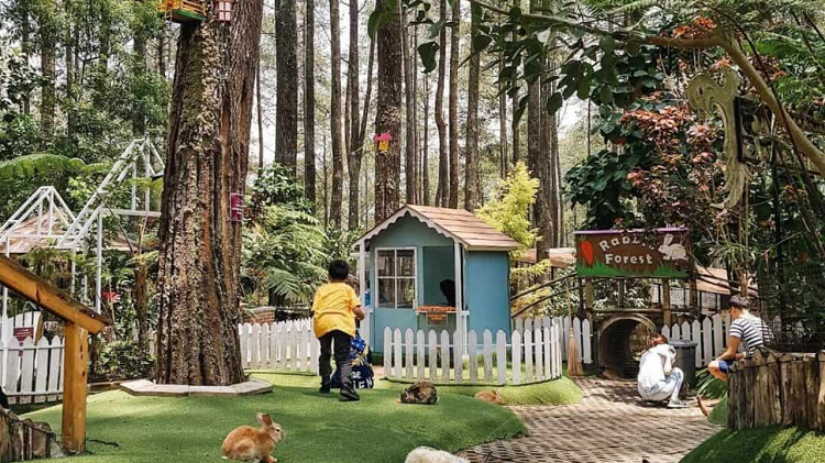 5 Destinasi Healing di Bandung, dari Orchid Forest sampai Kawah Putih