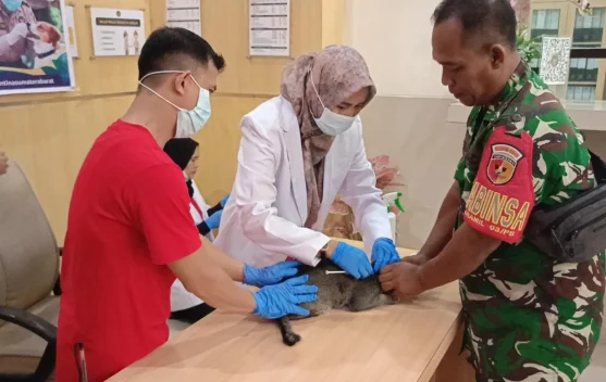 Balai Karantina Sumbar Vaksinasi 235 Hewan di Padang, Sambut Hari Karantina ke-149 dan World Rabies Day