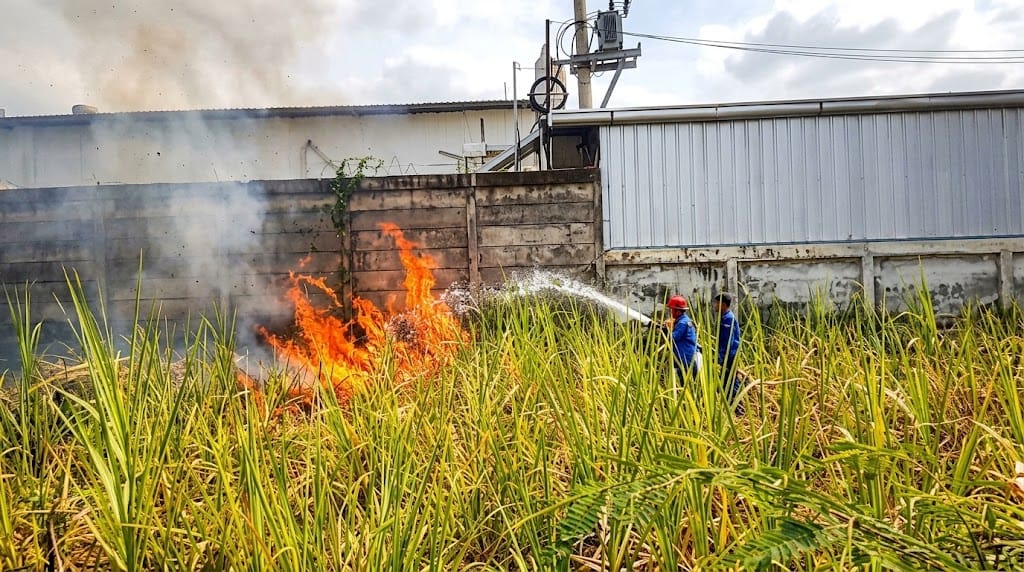 Lahan Alang-Alang di Pangkah Tegal Terbakar, Api Nyaris Merembet ke Minimarket dan Gudang Alfamart