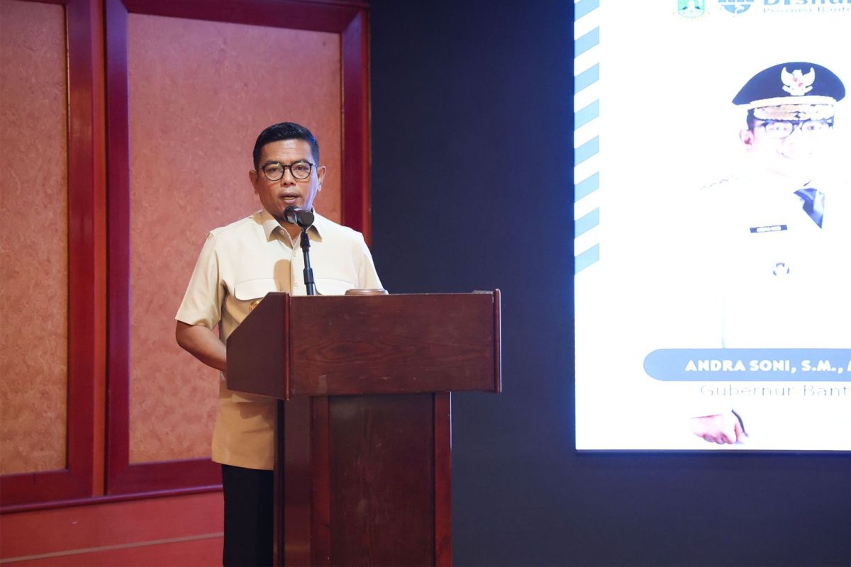 Pemprov Banten Susun Studi Kelayakan Elektrifikasi Kereta Rangkasbitung–Merak, Butuh Investasi Rp 1,29 Triliun