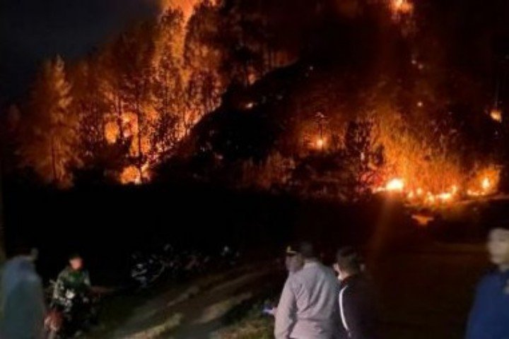 Karhutla di Mamasa Kepung 4 Petani di Bangunan Sekolah, Tim Gabungan Evakuasi Selamat