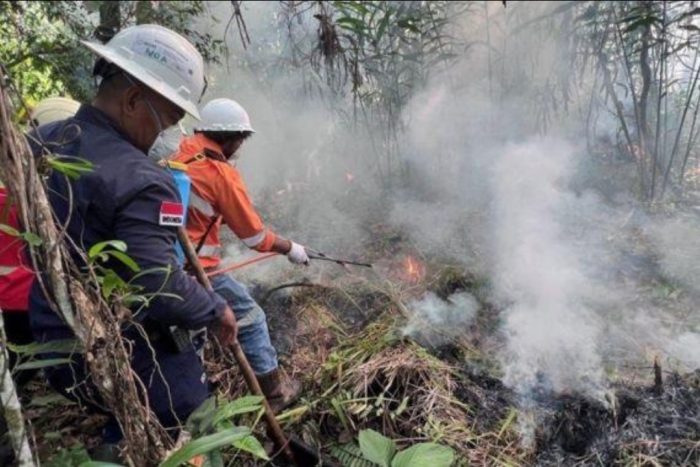 Karhutla Maluku Utara Hanguskan 3.314 Hektare Sepanjang 2026, Api Kembali Muncul di Tidore Kepulauan