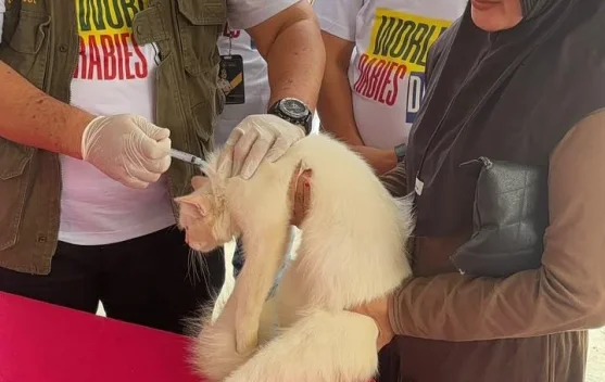 PDHI Lampung Gelar Vaksinasi Rabies Gratis di Desa Legundi, Pemilik Hewan Diminta Rutin Cek Kesehatan Peliharaan