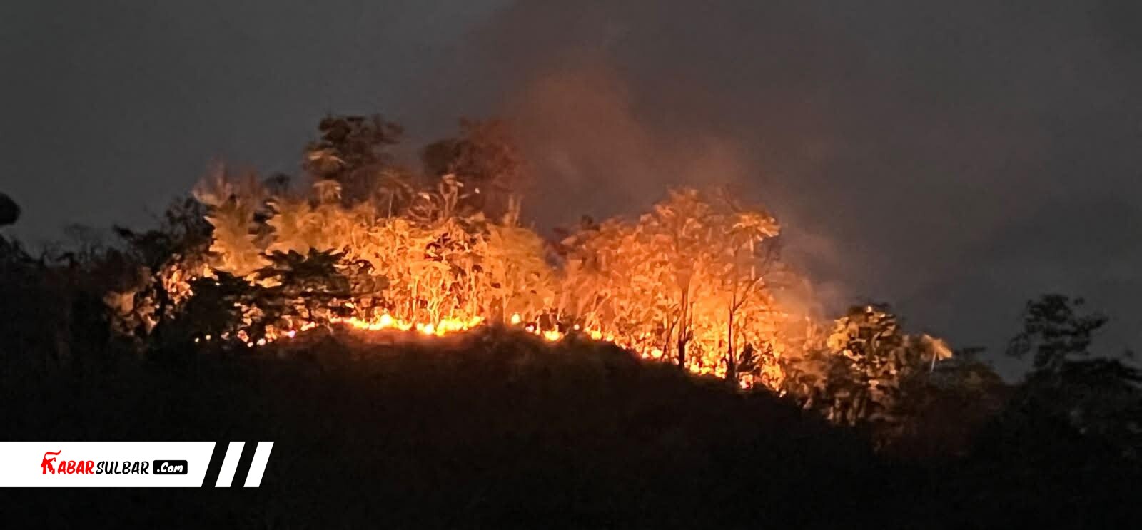 Polresta Mamuju, Brimob, dan Warga Padamkan Karhutla di Bukit Tambayako Simboro, Lahan 100x100 Meter Terbakar