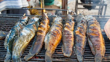 Manfaat dan Efek Samping Makan Lele untuk Anak dan Keluarga