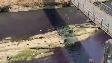 Sungai Brantas di Malang Berubah Ungu, DLH Uji Lab 12 Industri