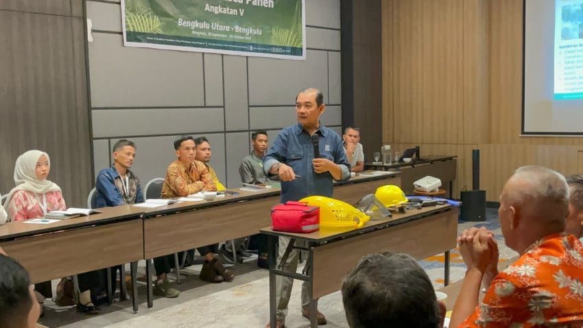 151 Pekebun Sawit Bengkulu Dilatih Panen, Target 24 Ton TBS per Hektare