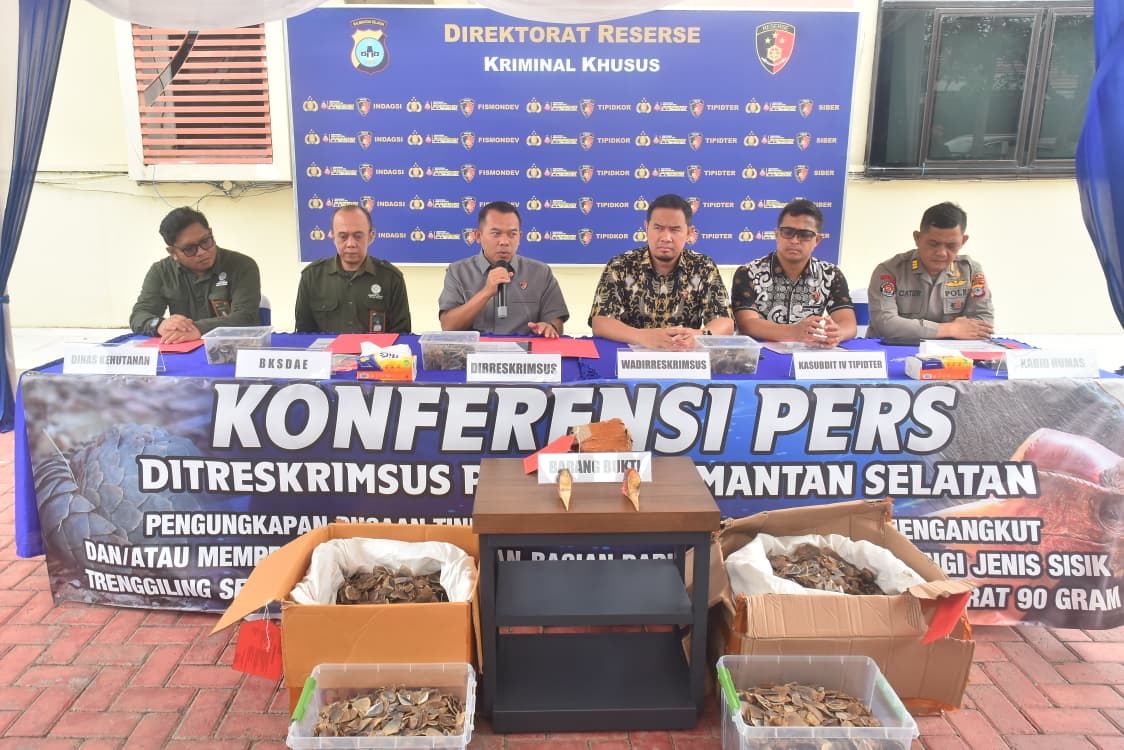 Polda Kalsel Bekuk Dua Penyelundup 57,8 Kg Sisik Trenggiling dan 90 Gram Paruh Rangkong di Tabalong