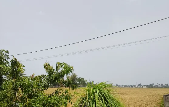 BMKG Gorontalo Sebut Asap Karhutla Selimuti Langit, Sejumlah Hotspot Belum Padam
