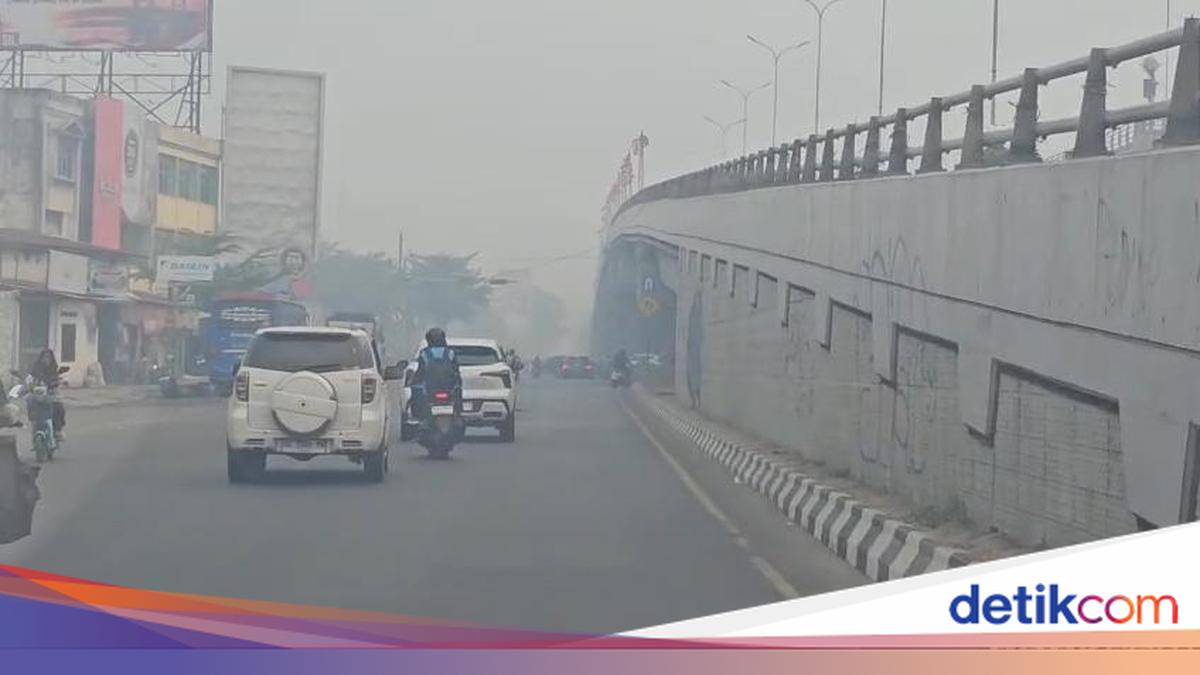 Wali Kota Palembang Sebut Asap Karhutla Kiriman dari Ogan Ilir, OKI, dan Banyuasin, 6 Puskesmas Disiagakan 24 Jam