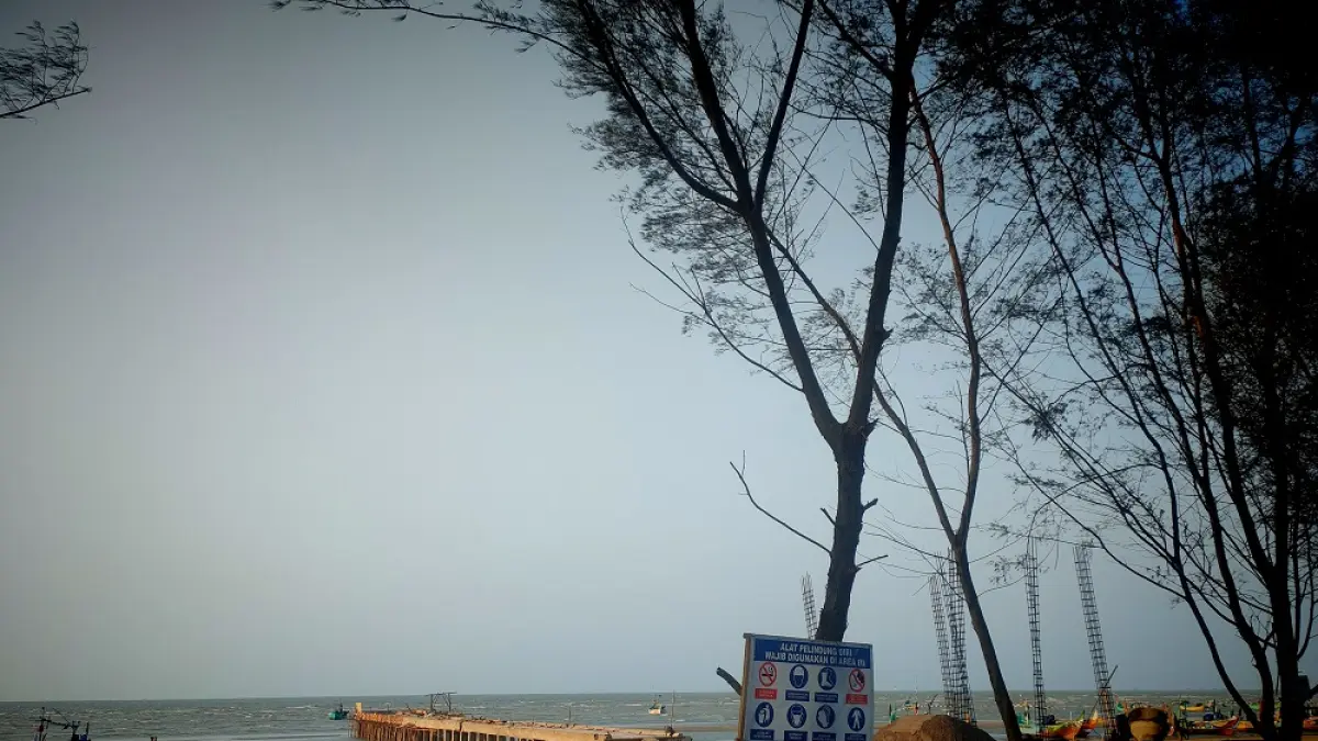 Rembang Masuk Zona Prioritas Giant Sea Wall Pantura Jateng, Pembangunan Mulai Oktober