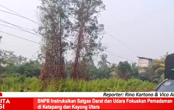 Satgas Linmas Satpol PP Kalbar Temukan 13 Hektare Lahan Bekas Terbakar di Kubu Raya