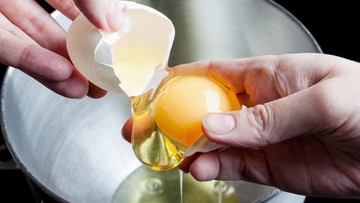 Bahaya Salmonella pada Ibu Hamil dari Telur Kurang Matang