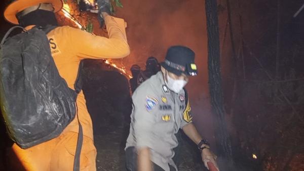 Api Sempat Padam Lalu Menyala Lagi, 9 Hektare Lahan di Mamasa Terbakar
