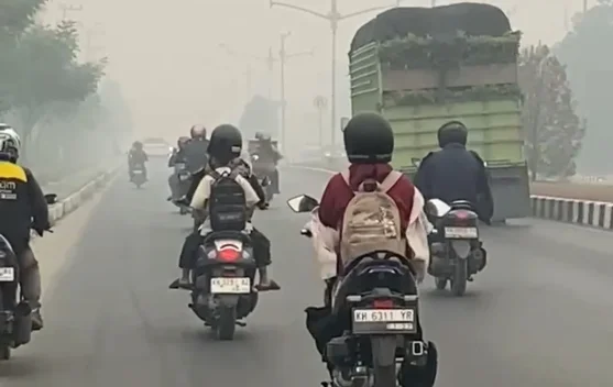 Dishub Kalteng Koordinasi Lintas Instansi Jaga Kelancaran Transportasi Darat, Laut, dan Udara di Tengah Kabut Asap Karhutla