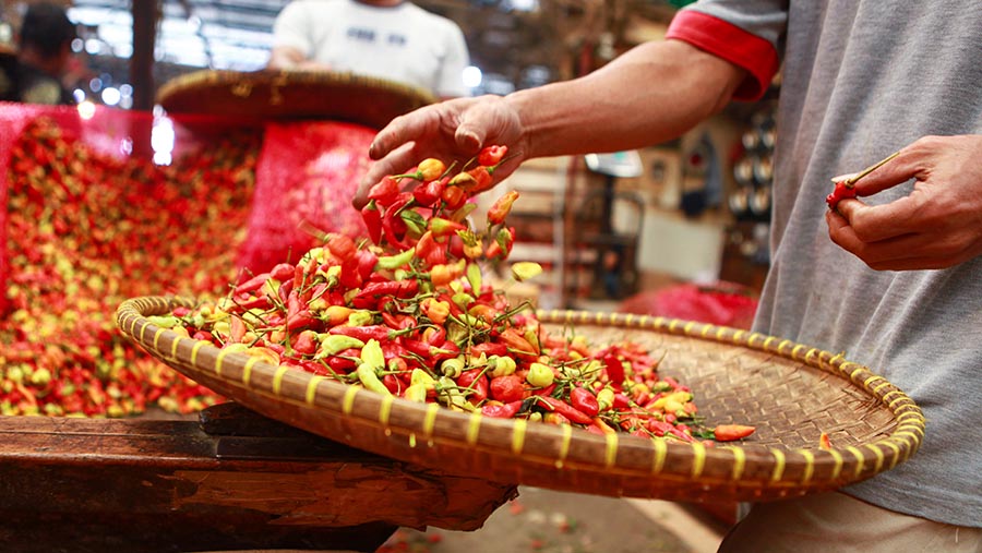 Harga Cabai Rawit Tembus Rp101.850/Kg, Cabai Merah Besar Naik 14,4%