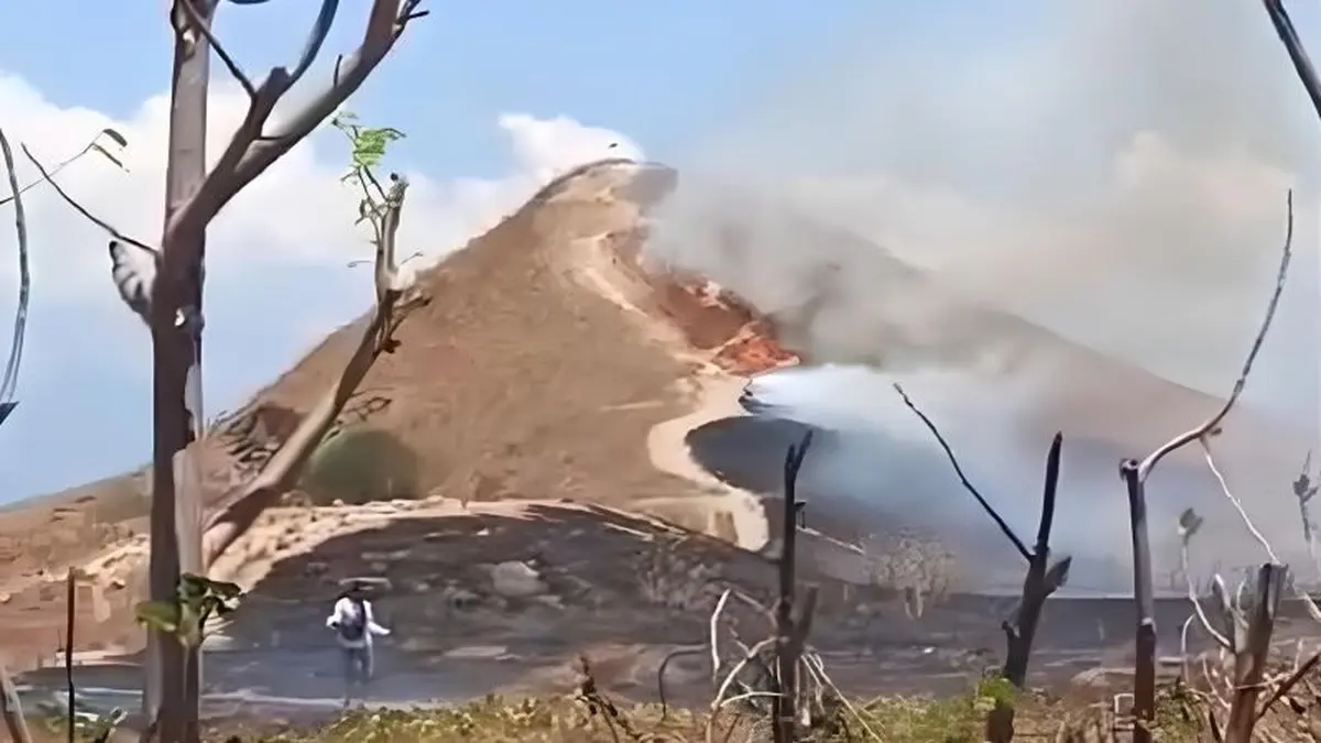 Kebakaran Hanguskan 5 Hektare Savana Pulau Kenawa Sumbawa Barat, Api Diduga dari Puntung Rokok