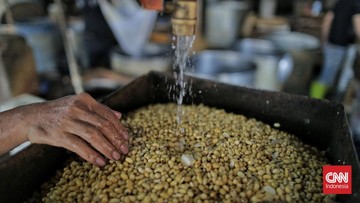 Kementan Ungkap Produksi Domestik Kurang, Harga Kedelai Tembus Rp11.600 per Kg