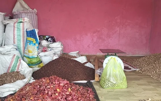 Harga Pala dan Coklat di Kepulauan Sula Masih Fluktuatif, Pala Super Rp80 Ribu per Kilogram
