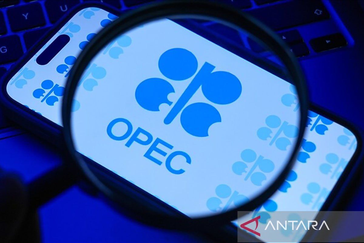 Tujuh Negara OPEC+ Pertahankan Batas Produksi Minyak November, Tunggu Pertemuan 1 November 2026
