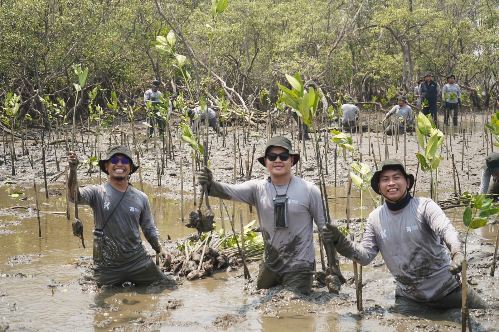 Kalla Toyota Tanam 43.000 Mangrove di Pesisir Pangkep, Perkuat Garis Pantai dari Abrasi