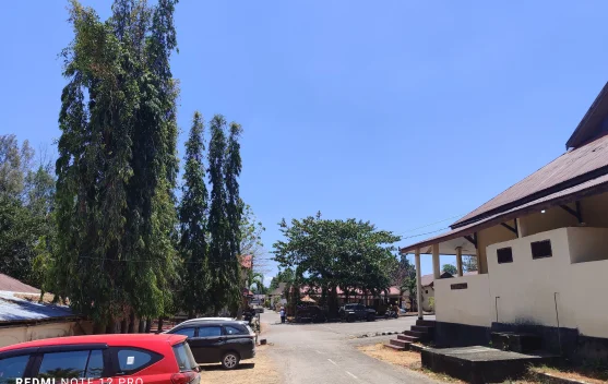 Kabut Asap Karhutla Papua Selatan Hilang dari Langit Baubau, BMKG Sebut Angin Berbelok ke Utara