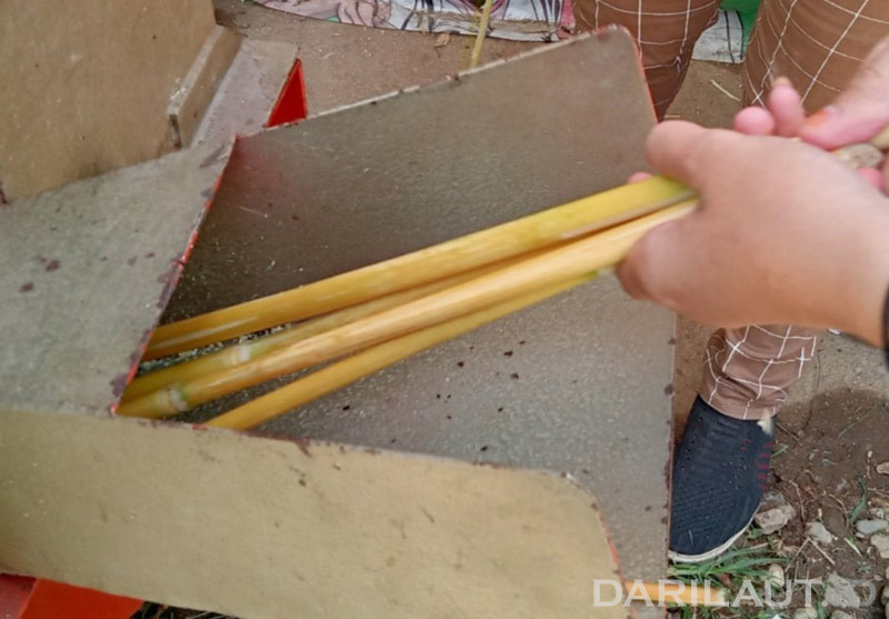 Peneliti UNG Kaji Batang Sorgum Manis Jadi Sirup Alami untuk Pangan Fungsional