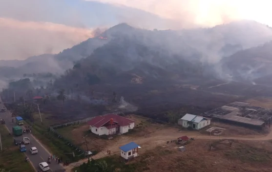 Kabut Asap Selimuti Parigi Moutong, Dinkes Kerahkan Puskesmas Pantau Penyakit Pernapasan