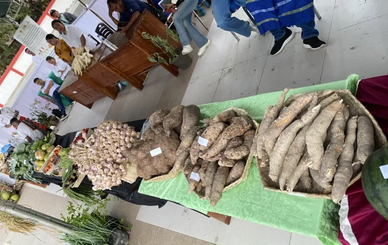 Pameran Pangan Lokal Belu 2026 di Atambua Libatkan UMKM Lintas Pulau Timor, Angkat Kreasi untuk Ketahanan Berkelanjutan