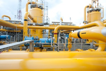 PGN Pasok Biomethane 150.000 MMBTU dari Limbah Sawit Sumatera
