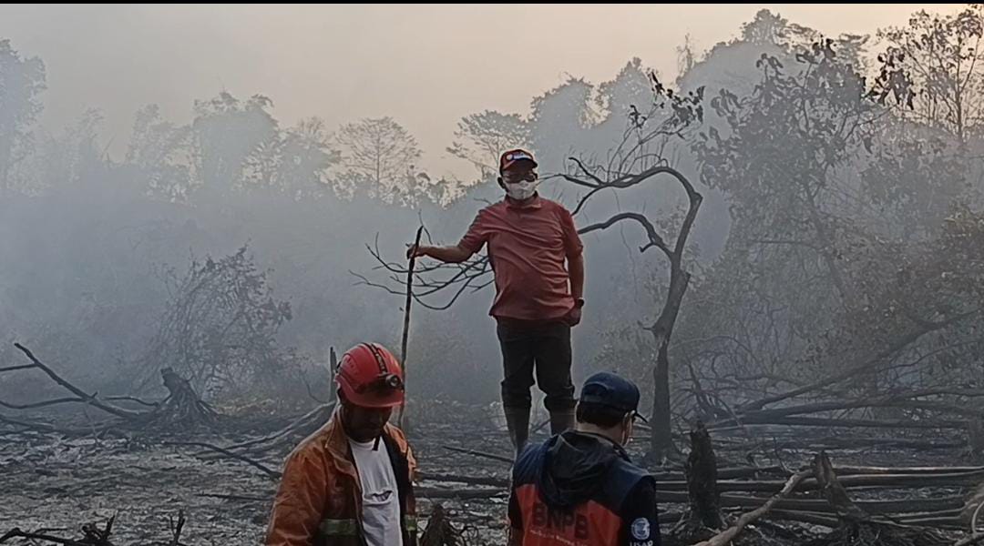 Kabut Asap Karhutla Ancam Kaltim, Kemenkes Imbau 6 Langkah Mitigasi Saat Beraktivitas di Luar Rumah