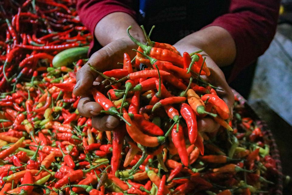Harga Cabai Rawit Tembus Rp114.000 per Kg, BPS Waspadai Inflasi Akhir Tahun