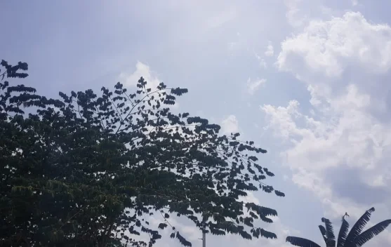 BMKG Prakiraan Cuaca Sulawesi Tenggara 7 Oktober 2026, Suhu 22-34 Derajat Celsius dan Tanpa Peringatan Dini