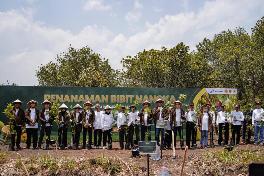 Pertamina Panen Raya Nangka di 87 Hektare Hutan Gunungkidul