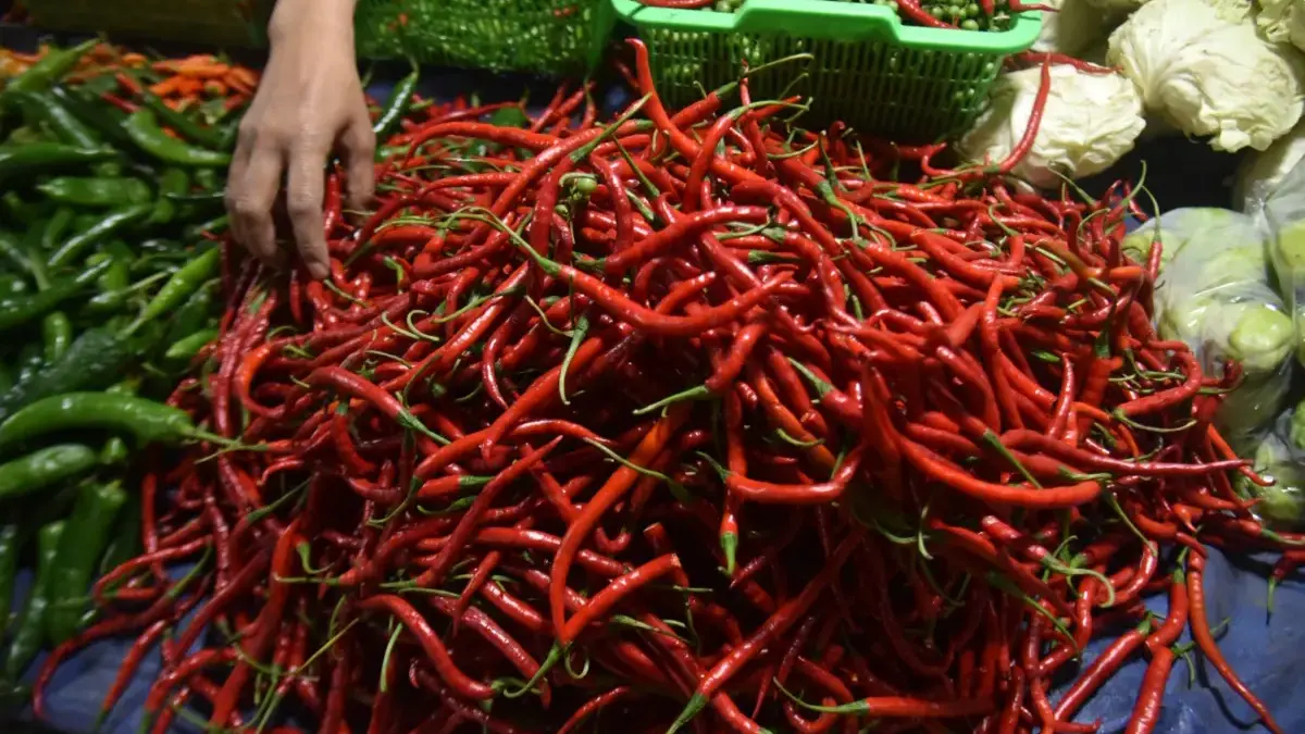 Harga Cabai Rawit Nasional Tembus Rp86.846 per Kilogram, BPS Waspadai Inflasi Akhir 2026